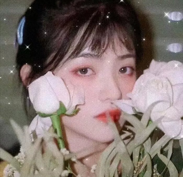 我的校花妹妹2