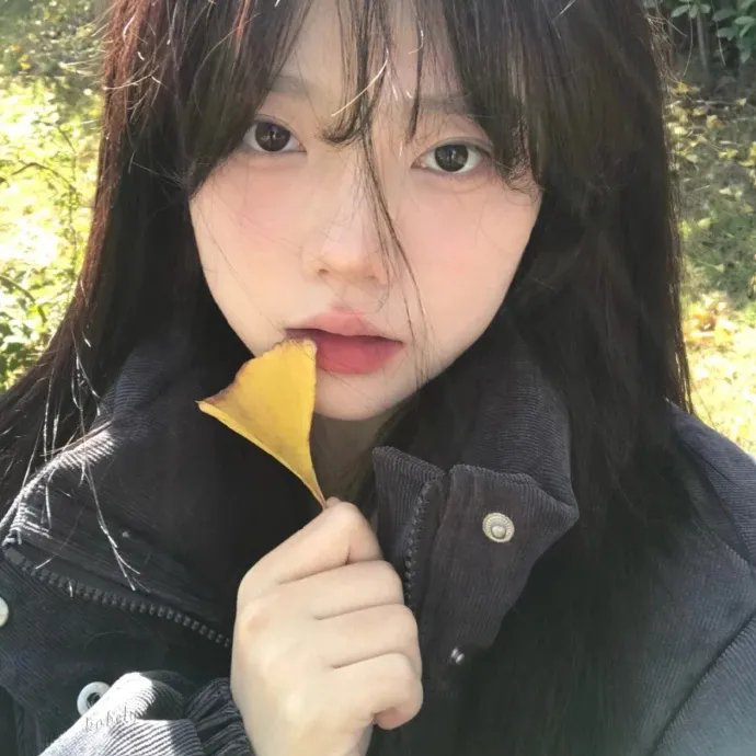 星蝶公主第四季